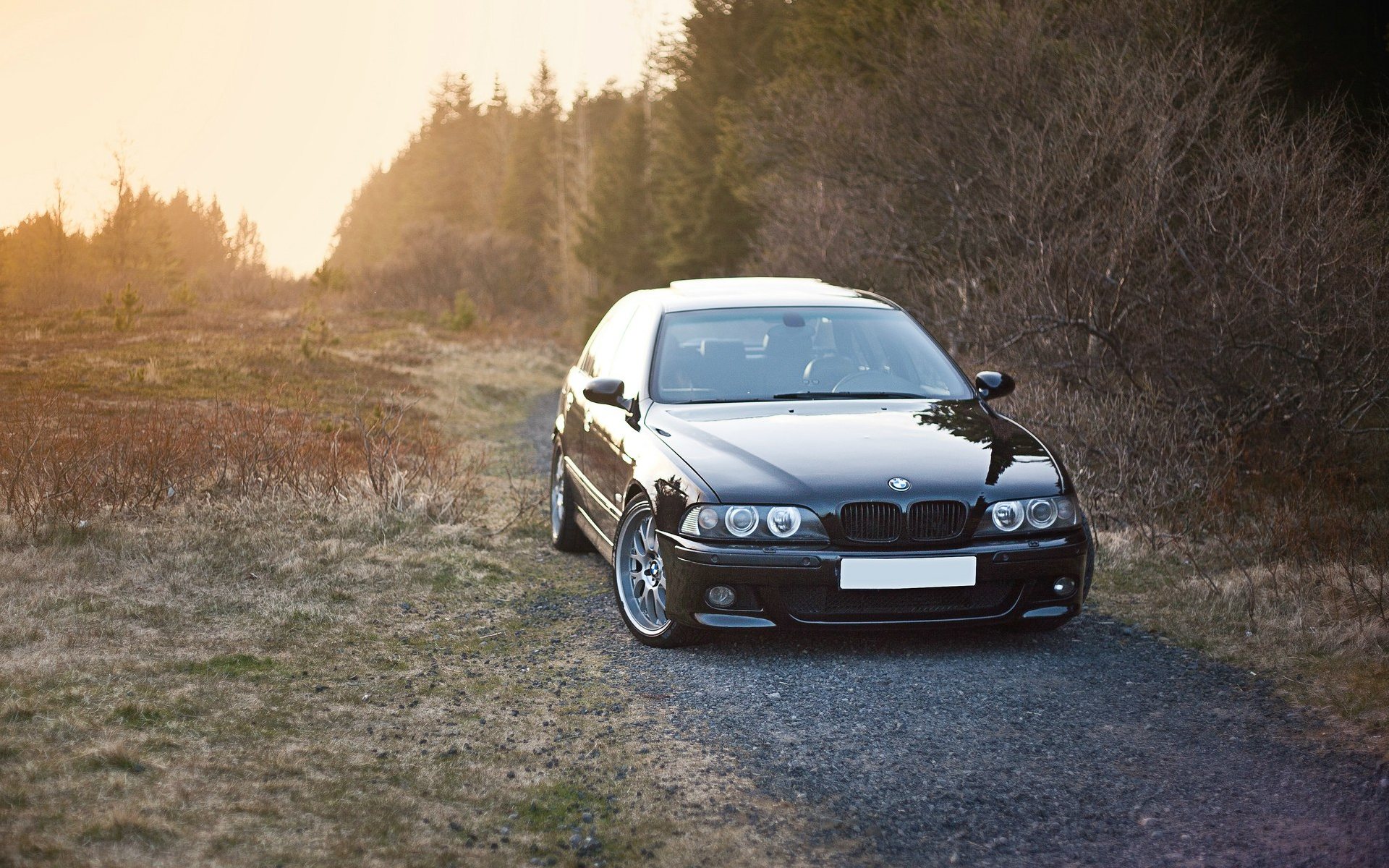 Черный BMW 5 series универсал выбрался на природу